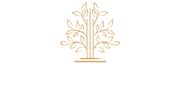 Haroon Sons